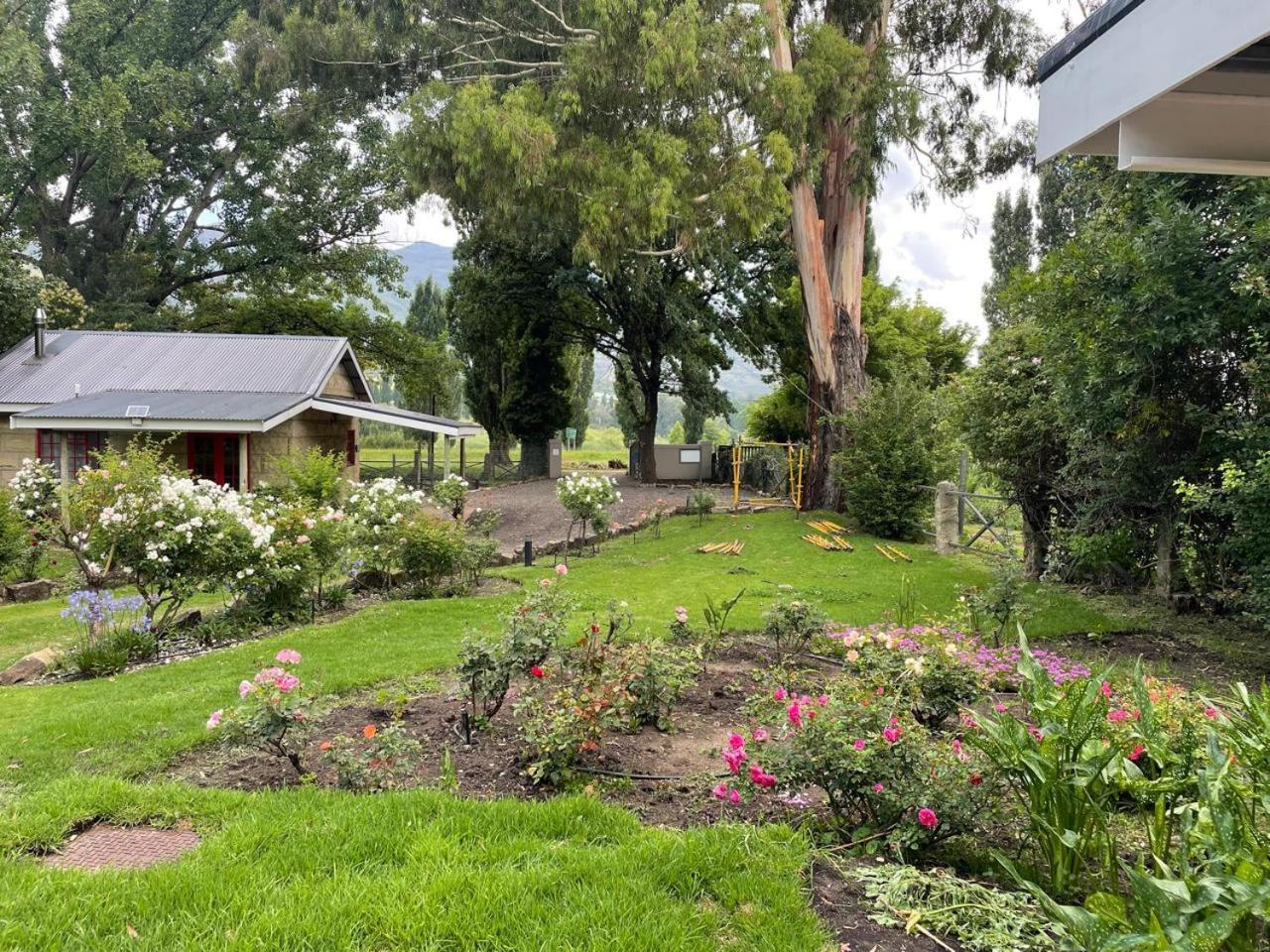 Periwinkle, Grove ,Acorn & Sage Cottages Clarens Dış mekan fotoğraf