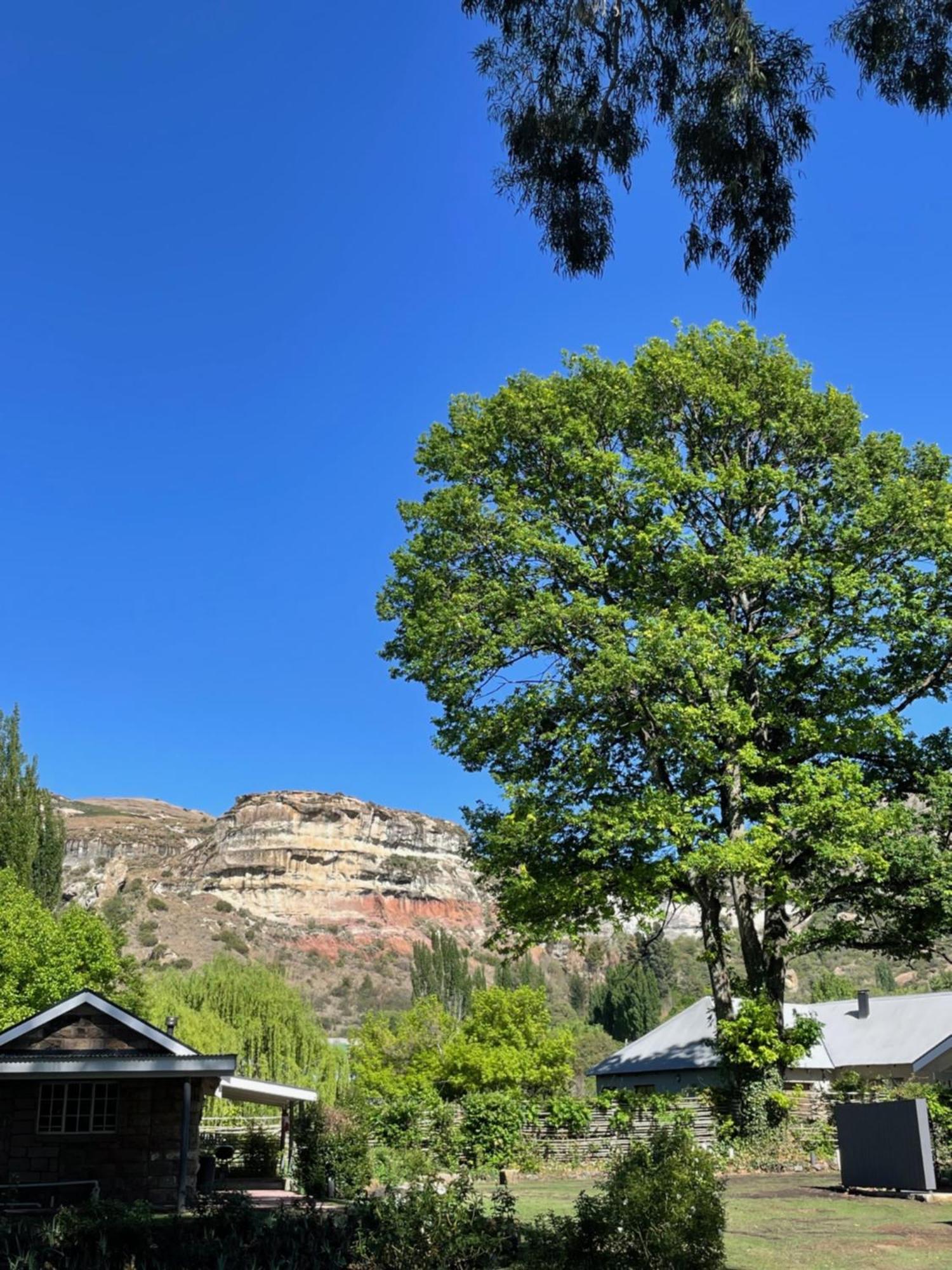 Periwinkle, Grove ,Acorn & Sage Cottages Clarens Dış mekan fotoğraf
