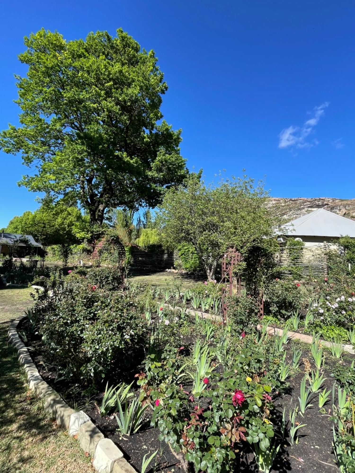 Periwinkle, Grove ,Acorn & Sage Cottages Clarens Dış mekan fotoğraf