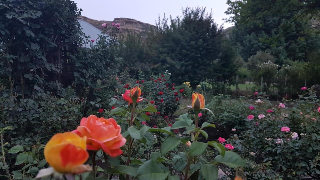 Periwinkle, Grove ,Acorn & Sage Cottages Clarens Dış mekan fotoğraf